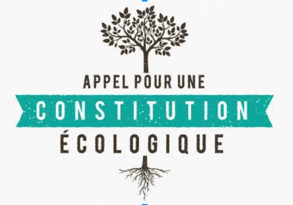 Réforme constitutionnelle : des inquiétudes pour la planète, teintées de belles propositions